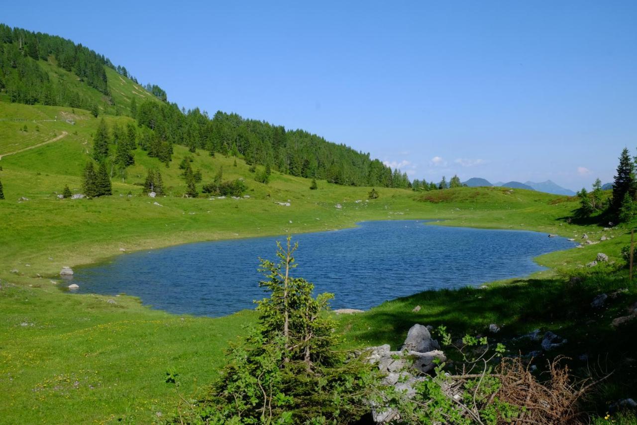 Отель Casa Della Rosa Dolomites Experience Виго-ди-Кадоре Экстерьер фото